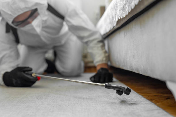 Professional Pest Control technician working in Pacific County County, WA